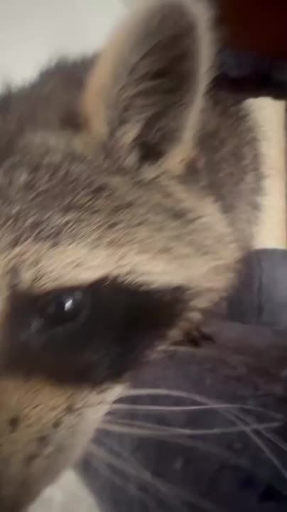 ������ ����, ������! �������� ��� ��� � ��������� ����������!