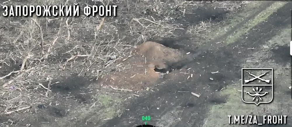 ����� �����: Fpv-���� ����� �������� � ������� ���������� �� ����������� �����������