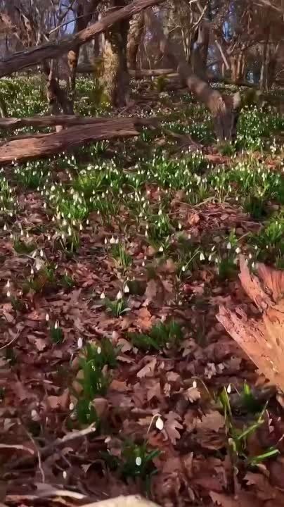 � ����� ��������� ������������ ����� ������������
