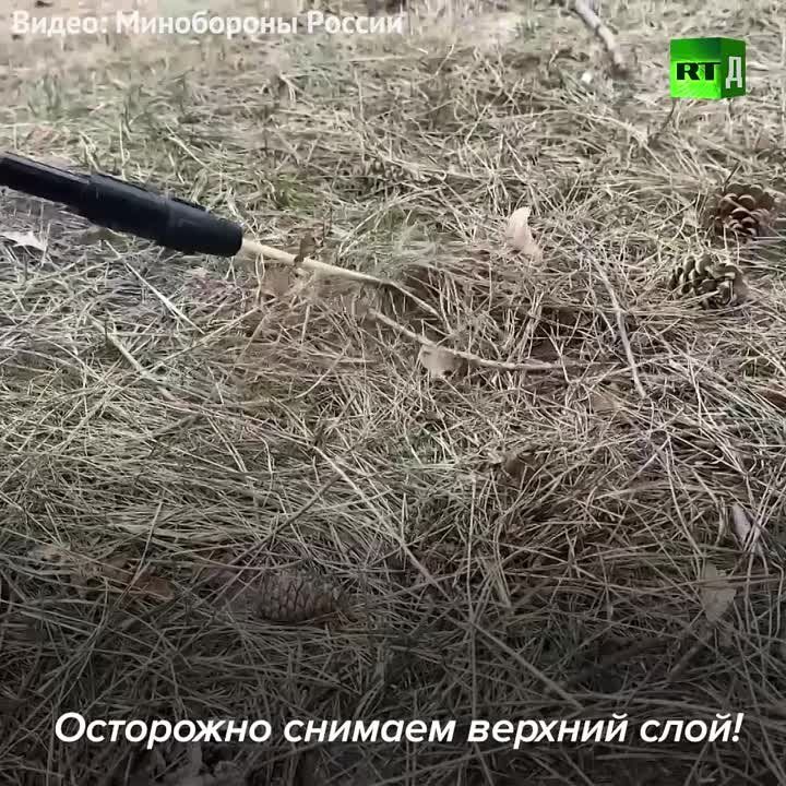 ��� ������ ����� ����� ��������� ��������
