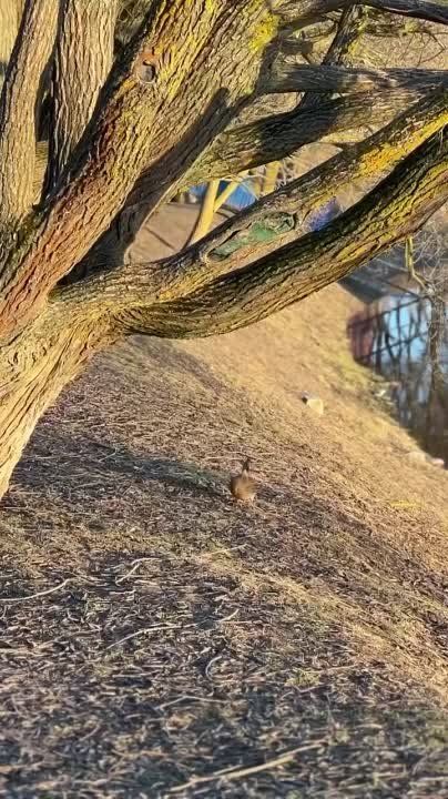 #�������������. � ����� ������ ��������� �����