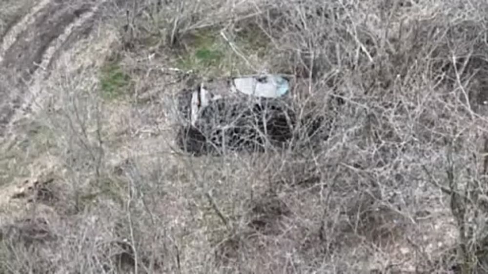 ������� �������: ��������-������� 19-� ����������� �������������� ������� ���������� ��������� ����������, �� ������� �������� FPV-����� ���, �, ������� �����, ������ ��� � ������