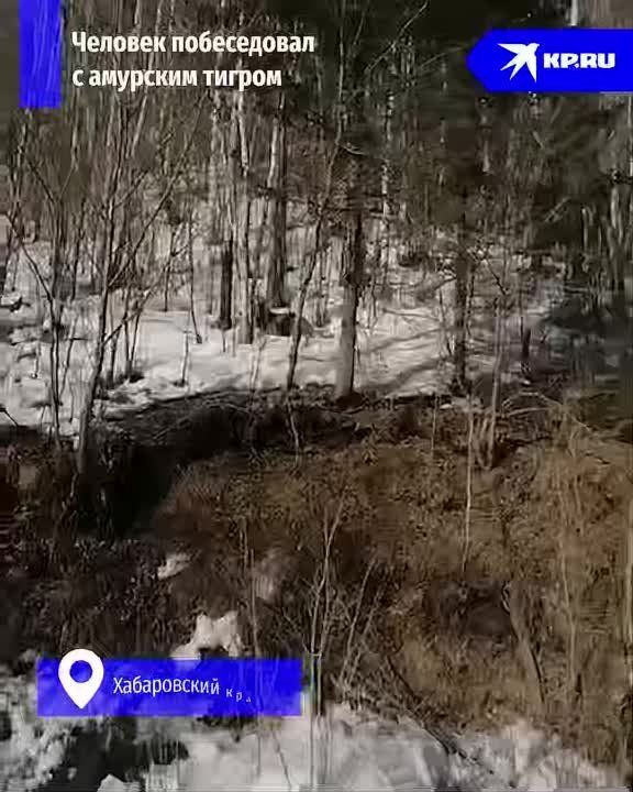 "������, ����!". ������� ������ ����������� ��������� ����� �� ������� ������ � ����������� ����