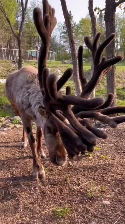 ��� ������ ��������� ���� �� ��� �� ������