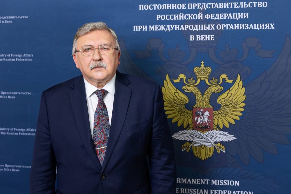 Комментарий Постоянного представителя Российской Федерации при международных организациях в Вене М.И.Ульянова информационному агентству ТАСС