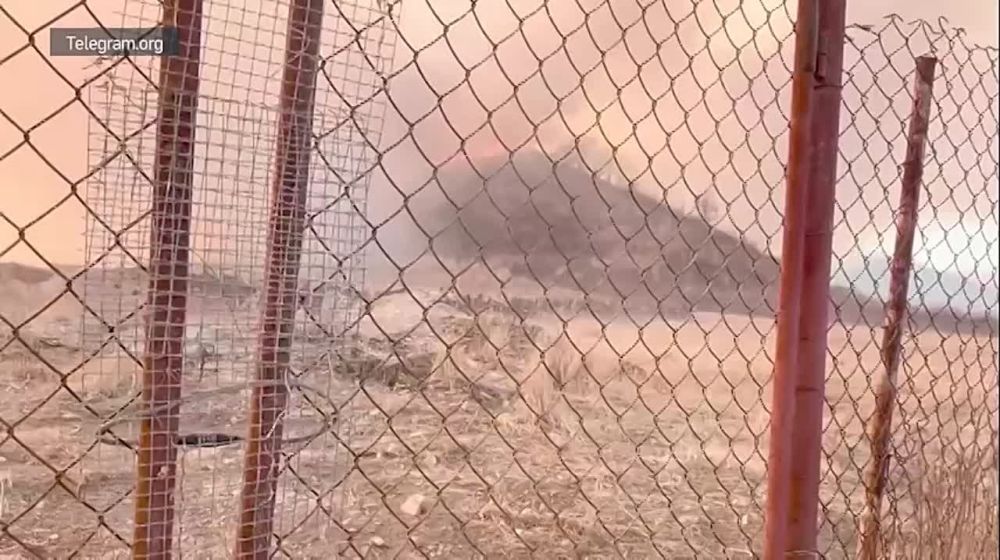 ����� ������ ��������� �������� �� �������� ����������� � ��������