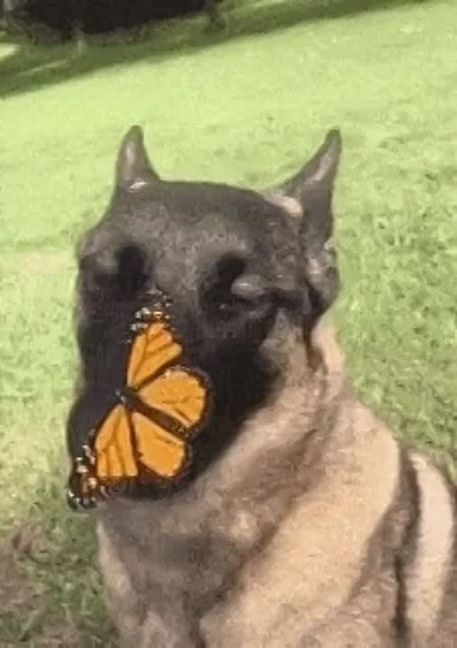 �� ���, �� ��� ������� ������ ���� �����?