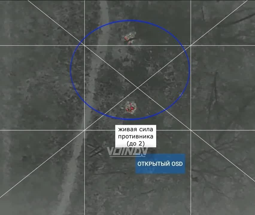 ����� �����: ��������� ���� 35 ����� ������� ������ �� 2 �������