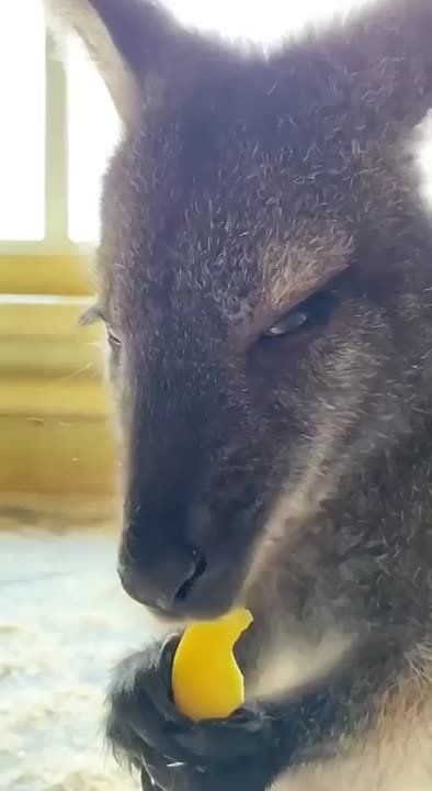 ������� ������ ������� � ���������� ��������� ������� �� ������������� ��������