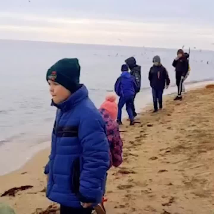 ������������ ��������������� ���������� ������ ���������-��������������� ������������ ����� �������� � ���������