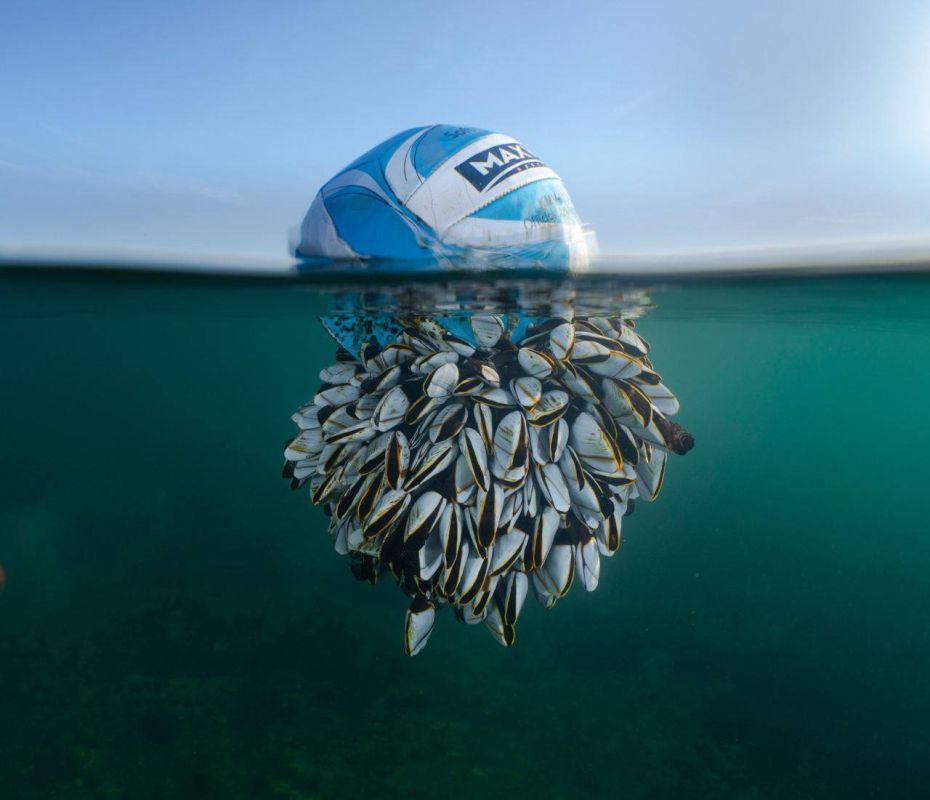 ��������� ���������� ��������� ������ ���������� ���������� ����� ������� �British Wildlife Photography Awards 2024�