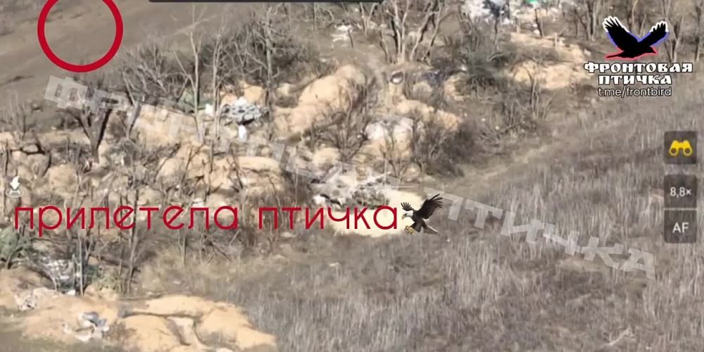 ����� �����: ��������� �� ����� FPV-������ 120 �� �������� ���������