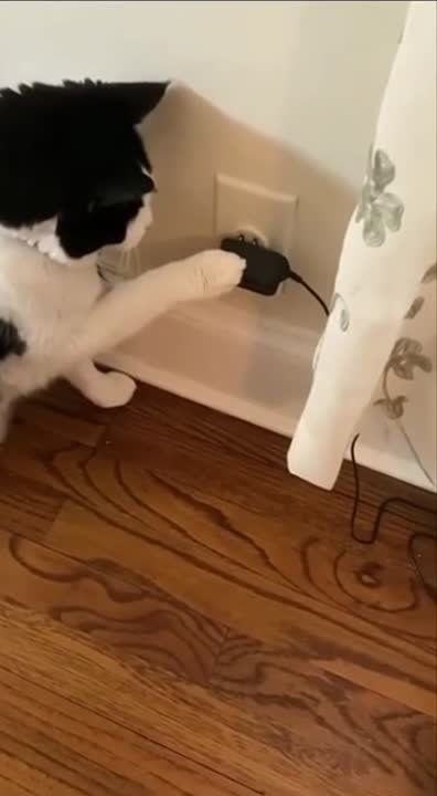 �� ����� �����, ��� ������