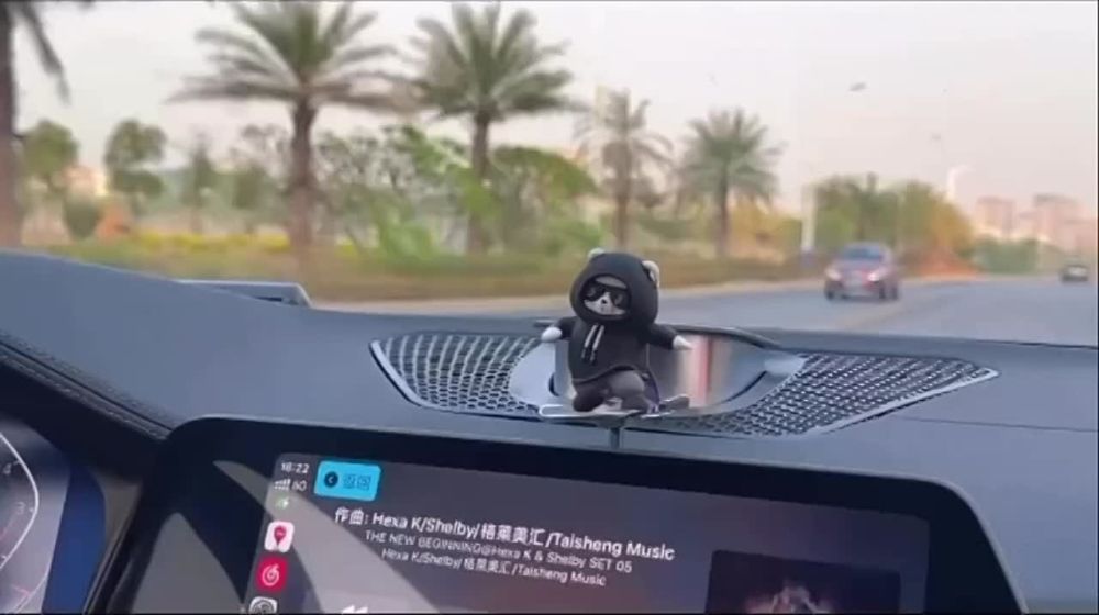 ������ ��� �������������: � ���� ������������ ����� �� �������, ������� �������� � ������ ����