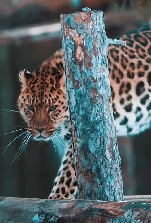�� ��������� ������� ������������, � ���� �������� �� ������ 40 ������ ���������������� ��������, ��� ���� ����� 30 ������ ������� � ��������, � ����� ������ � �� ���������� �����