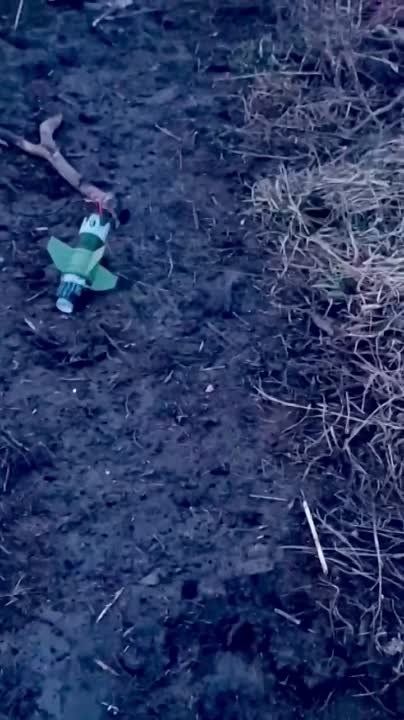 ����������, ��� � ������������ ������� ��� ����� ������������ � ������ ����� ���� �� ������� ������� � ������� ����, ��� ��������� ���������� ������