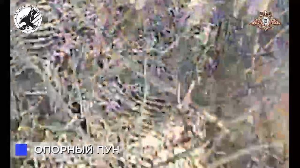 ����� �����: ������� ������� ������ �������� �������� �������� �� �������� ���