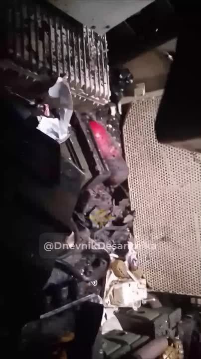 ����������� �����������