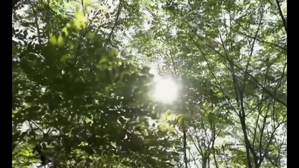 ��� ������: #��������. ����� 5. ����������� �����, ��������