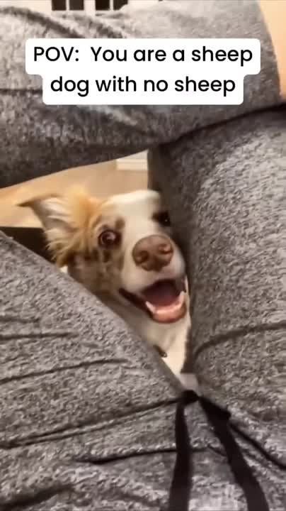 ���� �� ���� ��������� ������ ����, �� ��� ����� ����� ����