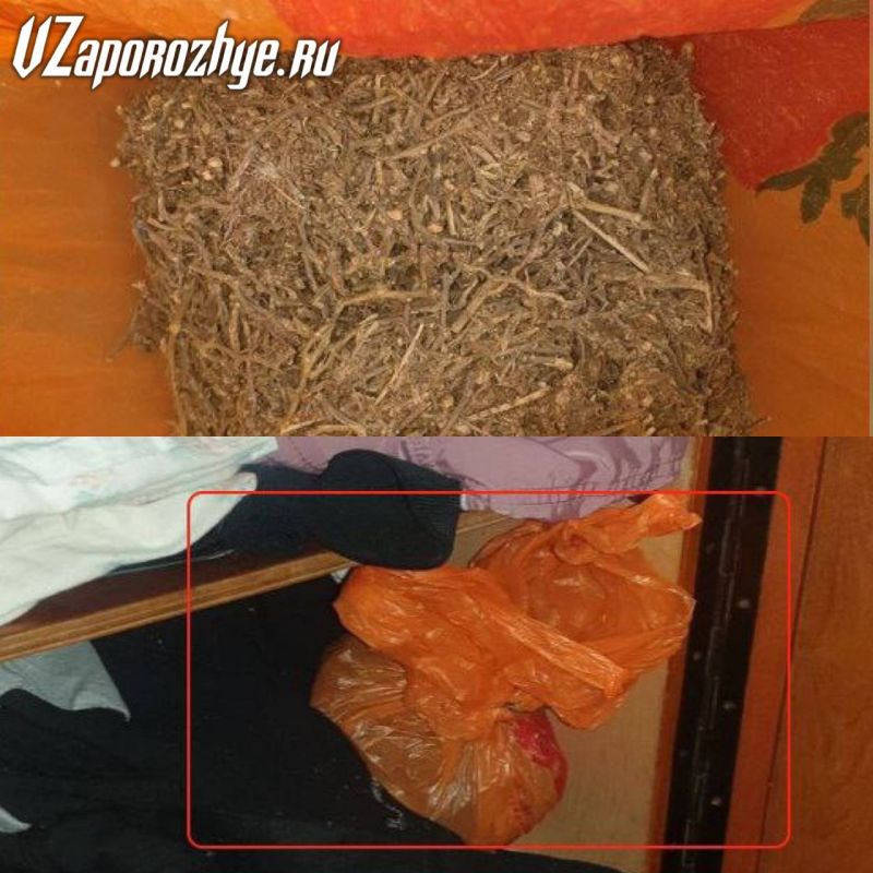 � ������ ������������ ������ ��������� � �������� ������ � ����������� ���������� ����