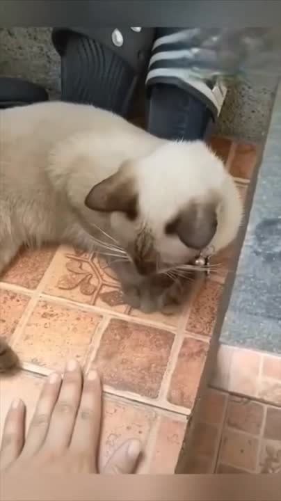 ������ ���� !