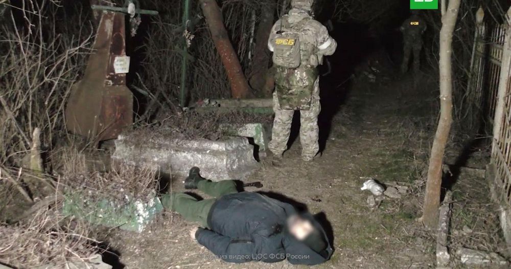 ����������� ������ ����������� ������ ������������� � ���������