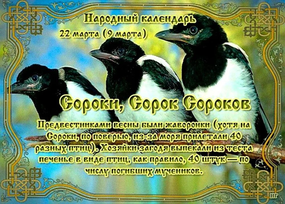 �������� ���������. 40 ������ (������) 22 ����� - ���� �������� ������ 40 ��������� ������������