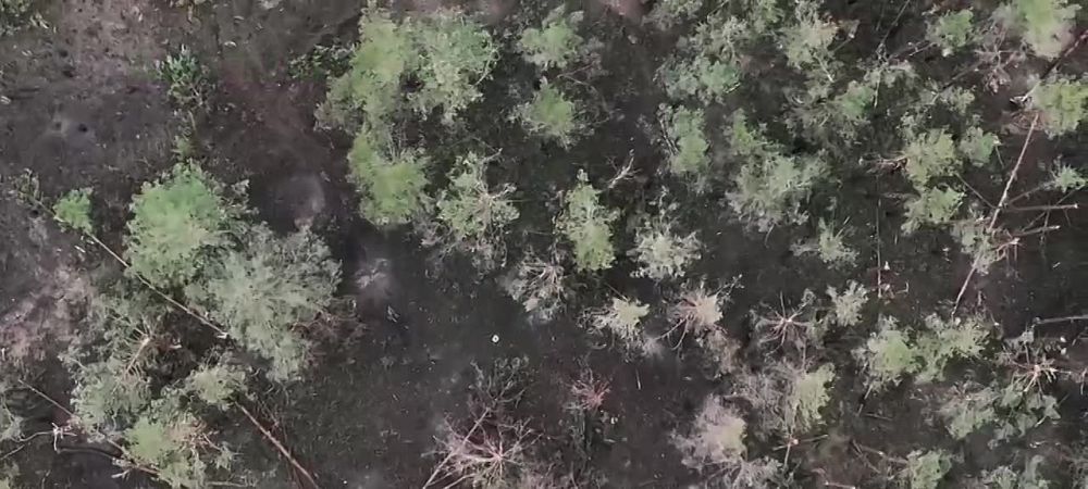 ����� � ������� �� ����������� ���������