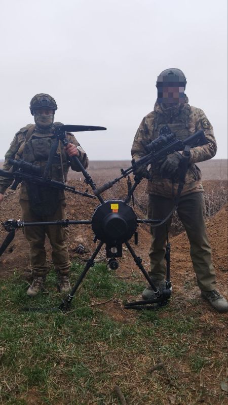 ������� �������: ����� ����� ������ ����� �������������