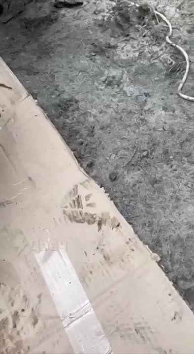 ������ �������: ����� ������� ������ �� 4� ��������, ������� ������� ����� ������
