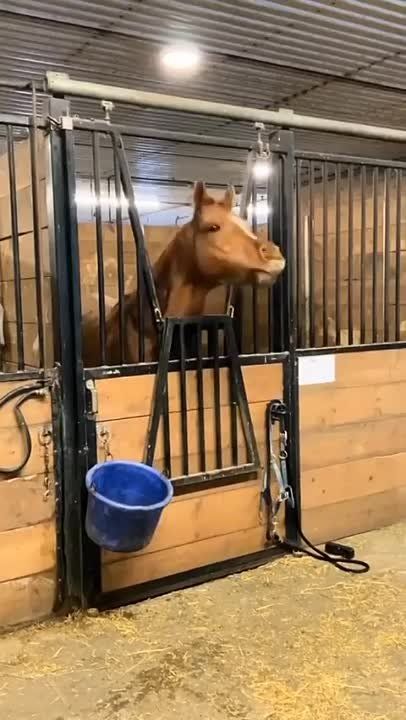 ����������� ��� � �����!