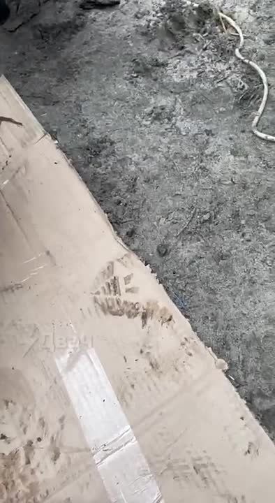 И кто считает, что нужно подставить вторую щеку? !!! И зачем нам МИР, если он будет БЕЗ НАС?!!! Запомните: "У Бога нет других рук, кроме твоих"