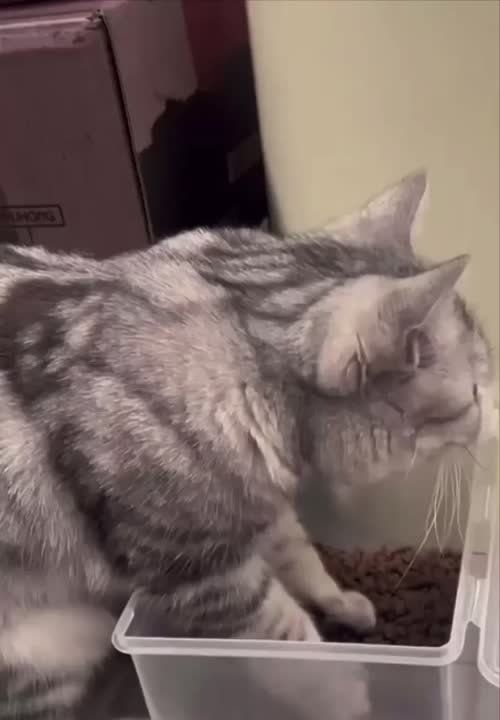 ����� ���� ���� �� ���� ������� ������