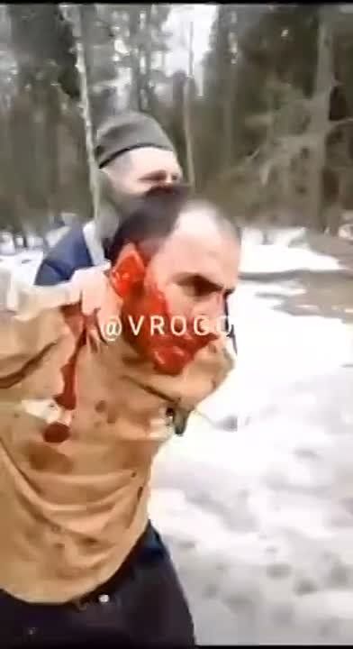 �������� �����: ���� �� �����������, ����������� � �������� �������, ������� ���� � ���