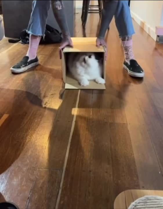 ��� � �� ���� �������� �� ����� ���� ��������