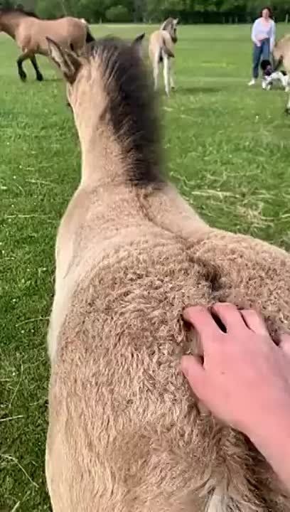 �������� �����! ���!. �������������� ��