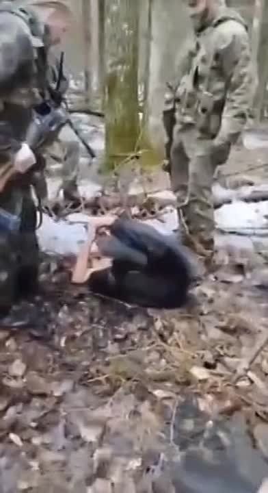 �������� �����: ����� ����� ���������� � �������� ���� ������ �� �����������, ������������� � ����� �� ������ ���� ����