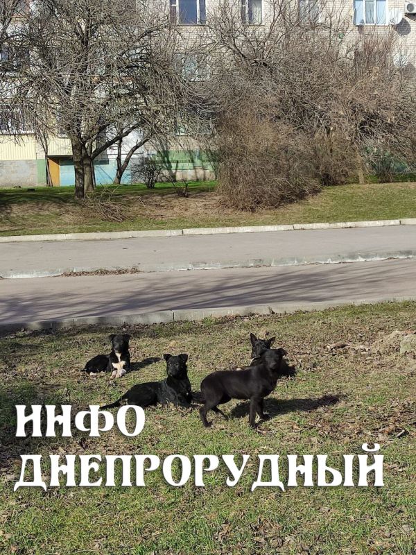 � ������� ������ ���, � ������ �����! ������ ���� ���� �������� ��� ������ �������, ������� � ��������� ������� ��������