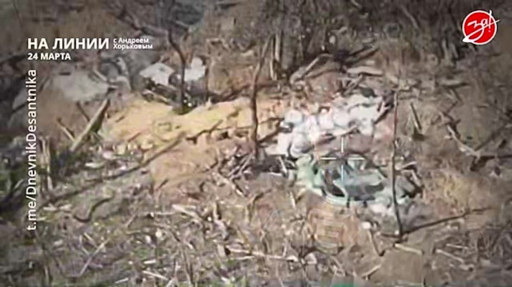 ��������� ���������� �� ������ ������ � ������� ��������� � ��������� ��� ����� | 24 �����