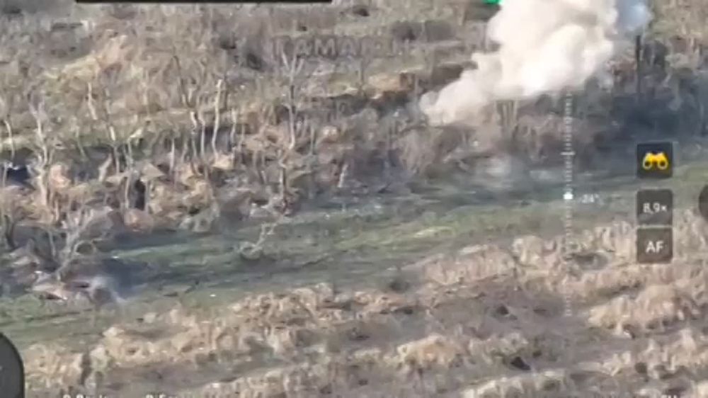 ������� �������: �������-�������� 19-� ����������� �������������� ������� ����� �� ��� �������