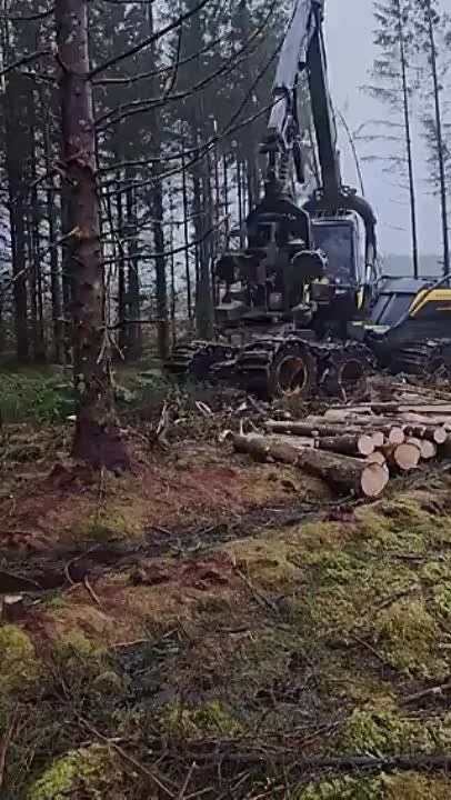 ������.... �������������� ��