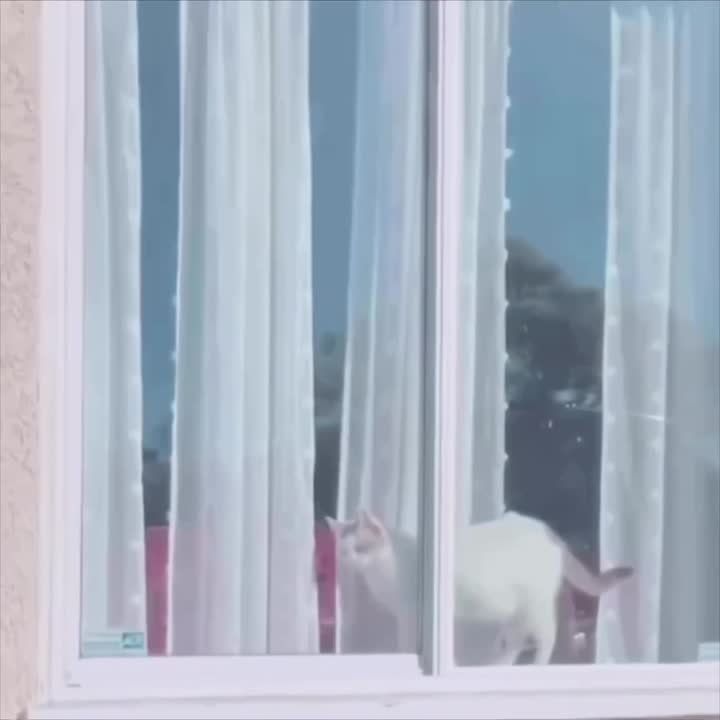 ��� ����, ����� � � ���� �������� ������
