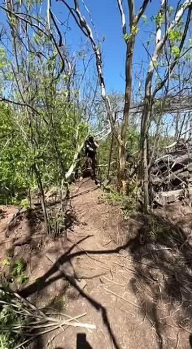 ������ ������� ������ 155-�� ������������ ������� M777, ������ �� ����� ����� �� ������� ����������� �������