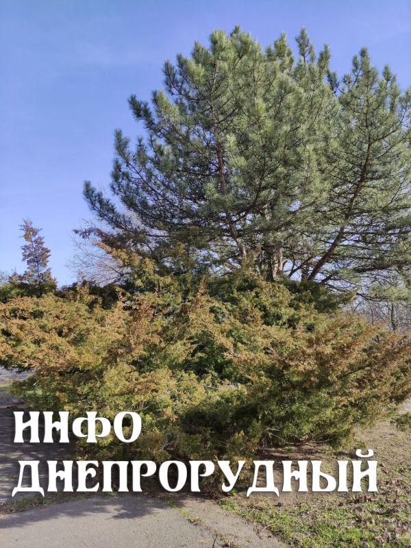 � ��� ���� �������� ������