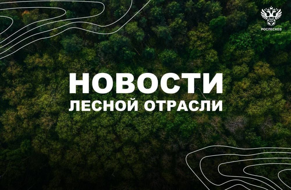���-���������: ���������: � ������ ����������� ���� �� ������� ����� 440 ���. �� � 2024 ����