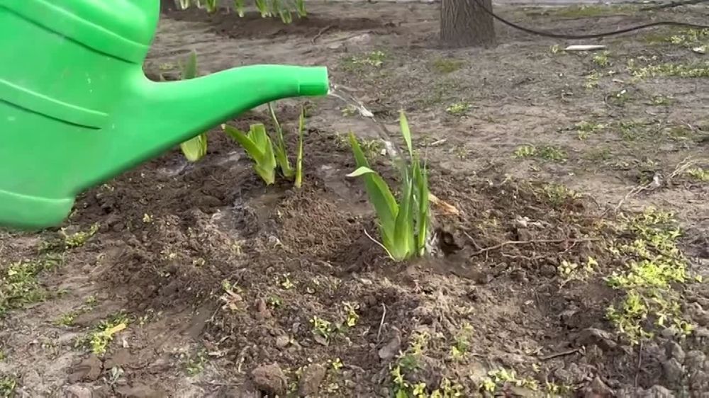 �������� ������� "�����!" ��������� � ����������� �� ������� ������ ���������� �������� ����� ����� � ������ � �������� � ������� 22 ����� 2024�