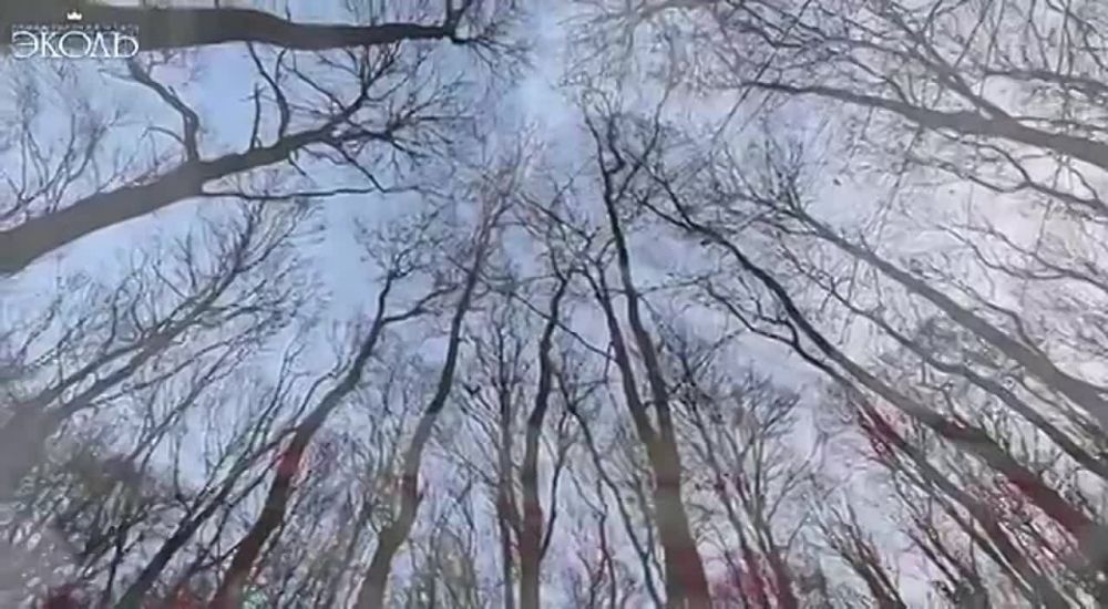 ��� ����� ���� ����... ��� ���� ���� ��������... �� � ����� ����� ����� ���� ������... �� �� ������� ������� �� ������� ������ -- �� ��� ���� �����, �� ��� ��!