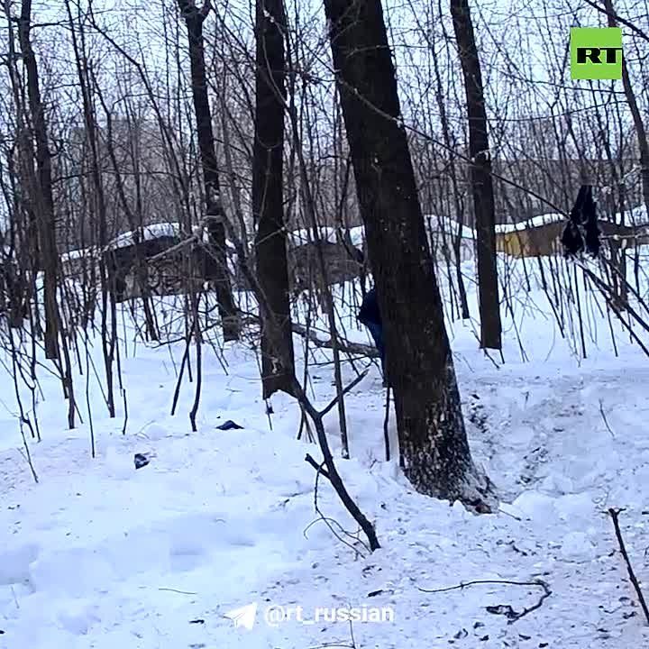 ���� ������������ ��� ���������� ��� ���������� � ��������� �������