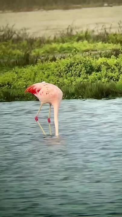 ������ ������� �� �������� �������� ������� �� �������� ���������� ����� � ����. ��������� ������ �� ����� �����, ���...